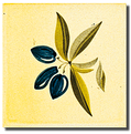 Carrelage - Décoration - Olive - Motif - Design - Faïence de Provence à Salernes