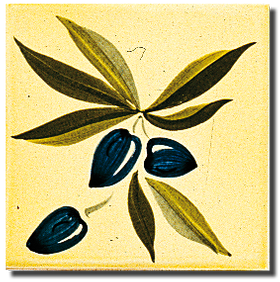 Carrelage - Décoration - Olive A- Motif - Design - Faïence de Provence à Salernes