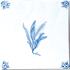 Aromates - Carrelage - Décoration - Delft Provençal- Motif - Design - Faïence