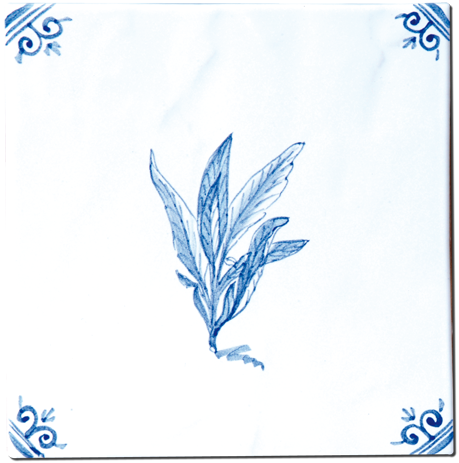 Aromates - Carrelage - Décoration - Delft Provençal- Motif - Design - Faïence